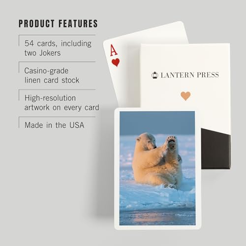 Lantern Press Polar Bear Baraja de 52 cartas poker miniatura 3