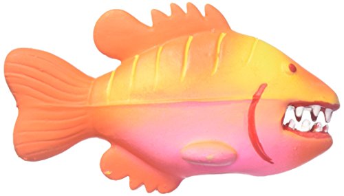 Pet Qwerks Squeeky Angry Fish Latex Toy