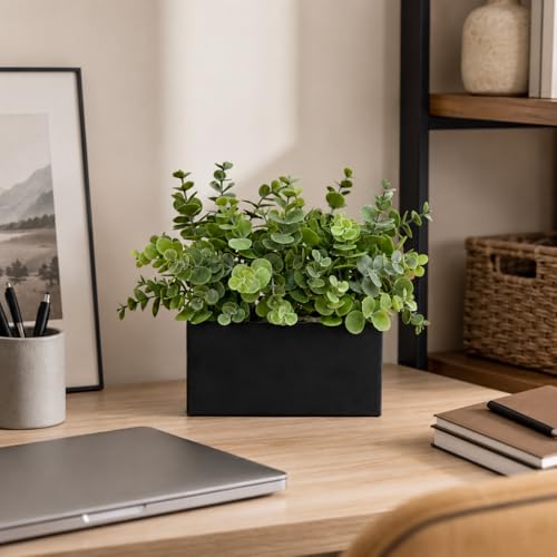 Eucalyptus artificiel noir avec pot rectangulaire deco maison interieur moderne