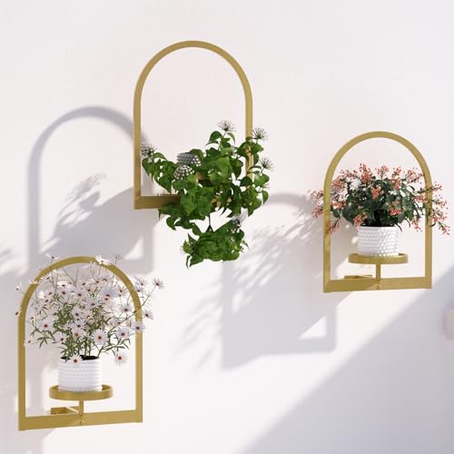 Image of Flenpptly Wall Plant Holder, Wall Planter for Indoor Plants, Window Plant shelves for Multiple Plants Indoor Outdoor, Framed Plant Holder for Home Decor (3 Pack)