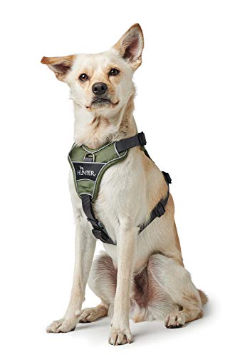 Hunter Hundegeschirr, Grün/Grau, 45-56 cm