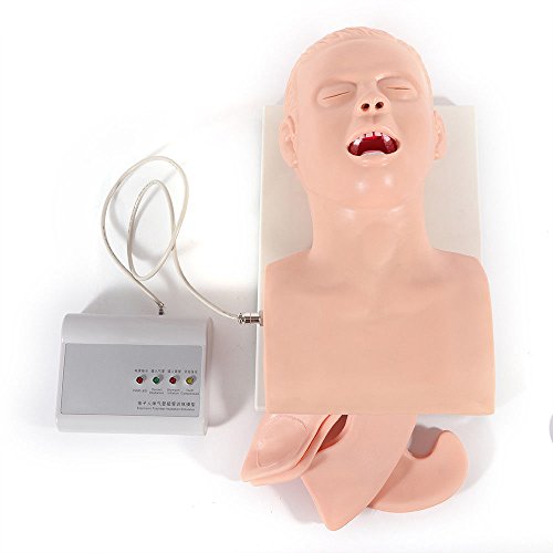 Adult Intubation Manikin Teaching Model, PVC Oral Nasal Head Airway Intubation Demo Management Trainer Study Simulator Model for School Teaching Stationer