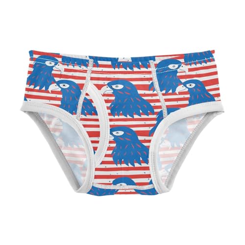 visesunny Boys Cotton Underwear Blue Eagle Stripe Printed Toddler Soft Training Briefs Size 2T-8Y for Kids