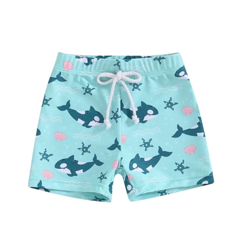 Pantalones cortos de baño de verano bebé niño con cintura elástica y cordón de sujeción de dibujos animados tiburón, azul claro, 3-4 años