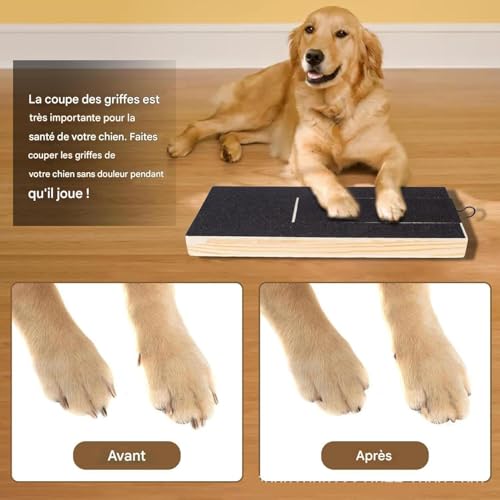 Jouet de grattage pour chien Teksome avec compartiment de stimulation