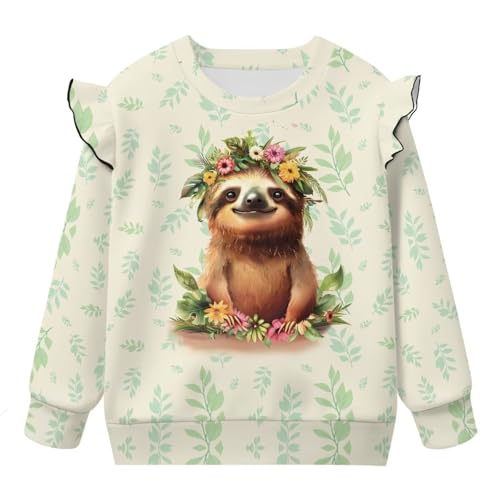 Toddler Sweatshirt Trendy Long Sleeve Clothes Animal Hoodie Crewneck Clothes Cute Tops for Pre-K 1T-8T2