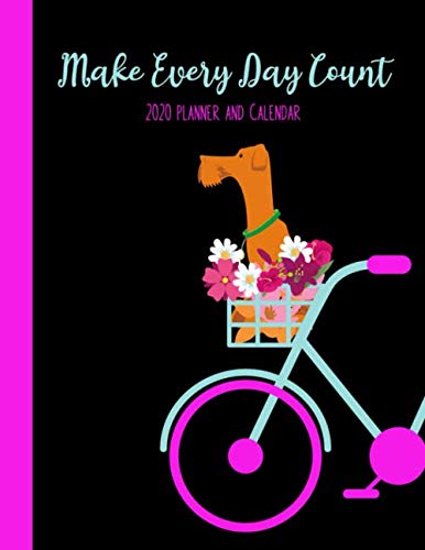 Make Every Day Count 2020 Planner and Calendar: Daily + Weekly I Time ...