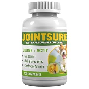 JOINTSURE Compléments d&rsquo;articulation pour Chiens | avec la Moule Verte, la glucosamine et la chondroïtine Naturelle pour Les Soins des articulations des Chiens. (120 comprimés Young)