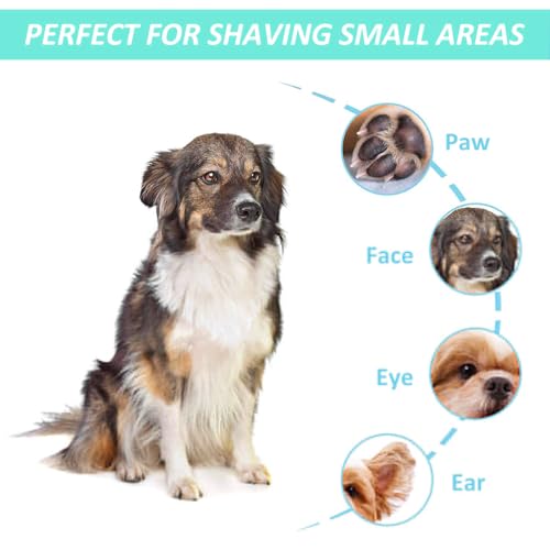 Image of HASTHIP Cat Dog Trimmer for Paw, Small Area Hair Trimmer & Nail Grinder | With LED Light, Low Noise, USB Rechargeable, Pen Shape Design, 2 Interchangeable Bits, Pen Shape Design