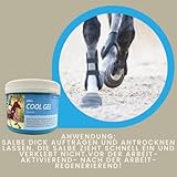 Kühlgel Pferd I Pferdesalbe Pferdebalsam kühlend 500 ml Gel mit Arnika Salbe hochkonzentriert I Kühlsalbe Pferd extra stark Sehnen Gelenke Muskeln I kühlende Salbe I Kühl Arnica Gel bei Muskelkater