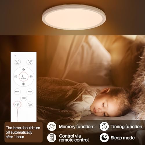 AmazeFan 12 Inch LED Dimmable Ceiling Light - 24W 2400LM Modern Lamp with Remote Control - 6W Night Light - Warm White LED Flush Mount for Bedroom, Kitchen, Living Room (Round)