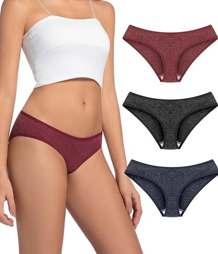 Merino Wool Underwear Women 3 Pack, Breathable Wooly Panties, Bikini Ladies Briefs Underwear