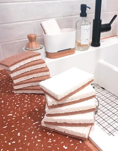 Image of Graham & Ash Co Natural Kitchen Sponge - Biodegradable Compostable Cellulose and Coconut Scrubber - Pack of 10 Eco Friendly Sponges
