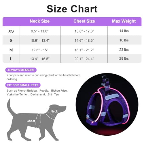 Feycig Leuchtend Hundegeschirr LED Aufladbar - Leuchtgeschirr Leuchtendes & Reflektierendes für Welpe Klein Mittlere Hund, Brustgeschirr Hundegeschirr, Atmungsaktiv Leucht Geschirr (Lila, Small)