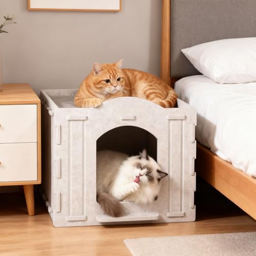 Plateforme anti-rayures pour chat actif plateau permanent durable