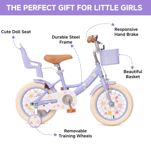 Image of Bixike Girls Bike with Basket, Princess Bicycle for Ages 2-12