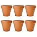 Pennington Mini Flower Pots 2" Terra Cotta (6 Pack)