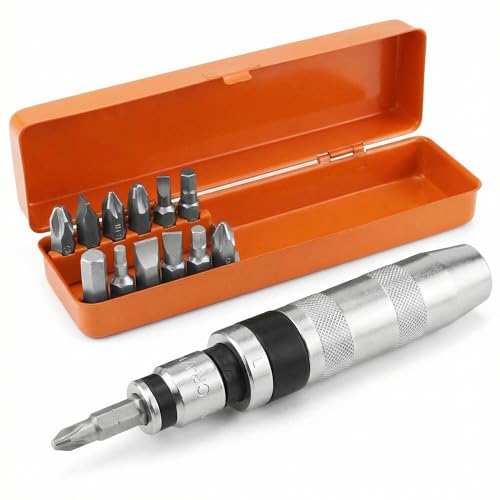 QWORK® 14 Pièces Jeu de Tournevis à Frapper 1/2', avec Adaptateur de Vis et 12 Embouts de Précision pour Automobiles, Motos et Maintenance