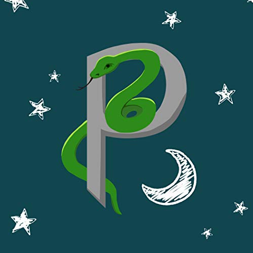 Page de couverture de Parselmund-Podcast (Archiv)