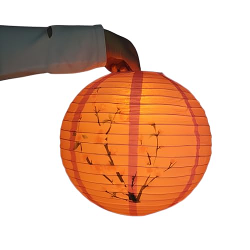 [Weweia]y傤zItBXp y[߂̐ߋ z񂿂傤 ʐ^BeɍœK gی^ y`ƌ̗ZzȒP݂艺 {݌ c@l ꓔ