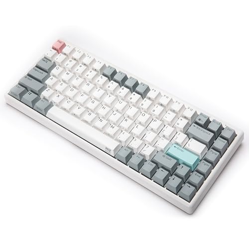 S*0様 NIZ Mini84-proメカニカルキーボード 英語配列 NiZ Mini84 Pro レビュー】無線接続対応で完璧に！唯一無二の