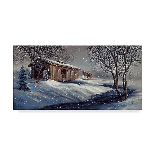 D. Rusty Rust 'Covered Bridge Snow' Canvas Art