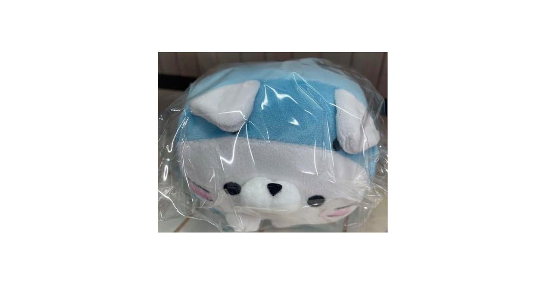 【沖縄限定品・新品未開封品】ご当地 ころころらいふ じんべえにゃん3個セット Amazon.co.jp: 沖縄限定ころころらいふ ぬいぐるみ じんべえ