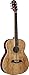Oscar Schmidt OF2SM 6-String Acoustic Guitar - Spalted Maple