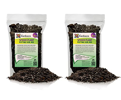 Premium Spider Plant Potting Mix by GARDENERA - 10 Quart - Ideal ...
