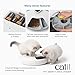 Catit PIXI Smart 6-Meal Feeder – Automatic and Customizable Feeding Schedule with App Support, White