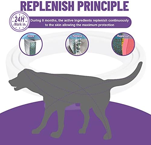 Dogs Flea and Tick Collar, 8 Months Protection Natural Flea Treatment for Dogs, Adjustable Flea and Tick Control for Puppy Dogs