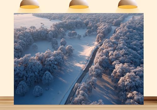 Shdasmil Gorgeous Winter Forest Backdrop Snowy Scene Photography Background Winter