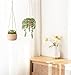 Mkono Ceramic Hanging Planter Macrame Plant Holder 5 Inch Cute Succulent Cactus Pot with Cotton Rope Hanger for Indoor Outdoor Decor, 1 Pack