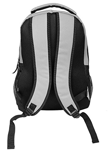 Image of FOCO Detroit Lions NFL Action Backpack