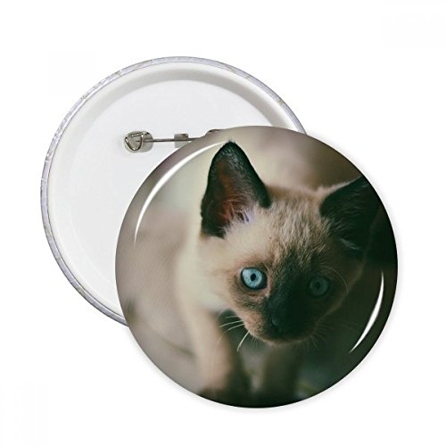 Pins chaton gris oeil bleu DIYthinker pour cacher un accroc sur une veste