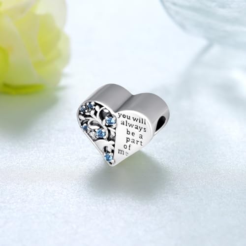 Cremation Charm for Ashes 925 Sterling Silver Tree of Life Urn Beads for Bracelets Keepsake Memory Jewelry for Women2