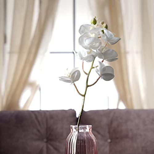Image of Pure Home and Living Orchid Ivory Stem