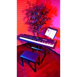 Gator Cases Bancs de Piano, Bois, Blanc - Les Beatles, Paul McCartney, John Lennon, RIngo Starr, George Harrison Gator Cases Bancs de Piano, Bois, Blanc – Image 6