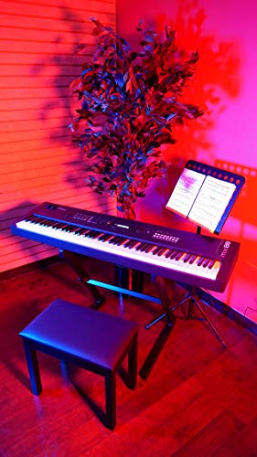 Gator Cases Bancs de Piano, Bois, Blanc - Les Beatles, Paul McCartney, John Lennon, RIngo Starr, George Harrison Gator Cases Bancs de Piano, Bois, Blanc – Image 7