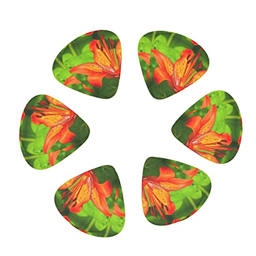 Pack de 12 médiators Tiger Lily pour guitare électrique Guitare acoustique Diverses guitares - Les Beatles, Paul McCartney, John Lennon, RIngo Starr, George Harrison Pack de 12 médiators Tiger Lily pour guitare électrique Guitare acoustique Diverses guitares