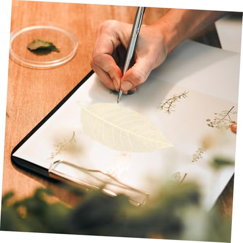 Healifty hojas secas naturales para manualidades, 100 pcs miniatura 6