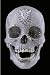 For the Love of God: The Making of the Diamond Skull