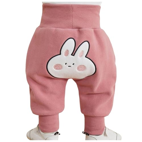 Y{ Opc L[pc  q H ~ j̎q ̎q  Y{ ʋC  [EFA  K _炩 1`5 풅 H~ ct ۈ牀 i ł v[g(80,sN)