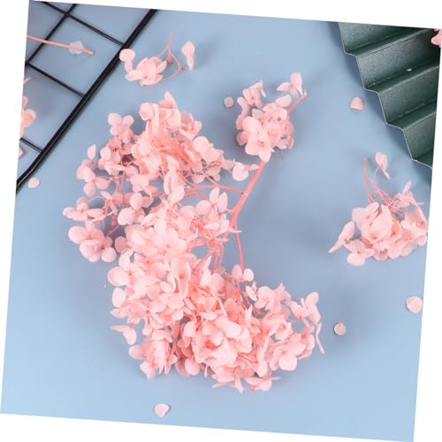 Pétalos secos naturales Hydrangea rosa para manualidades miniatura 3