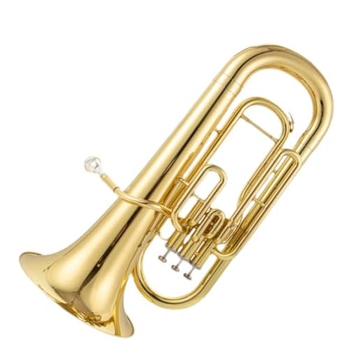 Bombardino para principiantes Tuba Contralto/bajo De 3 Teclas En Si Bemol Interpretación De Orquesta Profesional(Bass)