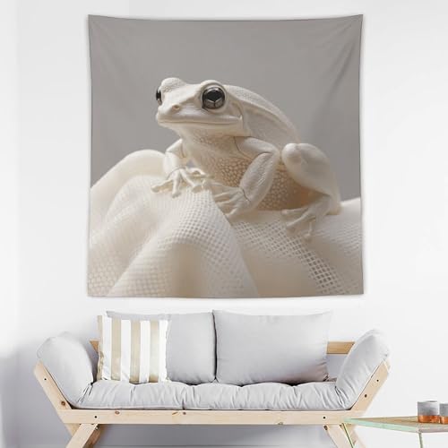 Tapisserie murale grenouille pour deco chambre esthetique poster tissu drole et arriere plan video