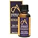 Produktbild Absolute Aromas Bio-Teebaumöl 10 ml - rein, natürlich, unverdünnt, frei von Grausamkeiten und vegan - für Aromatherapie, Diffusoren und Gesichts-, Haar-, Haut- und Nagelpflege (30ml)