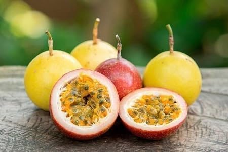 Graines de fruit de la passion 100 pièces mélangées