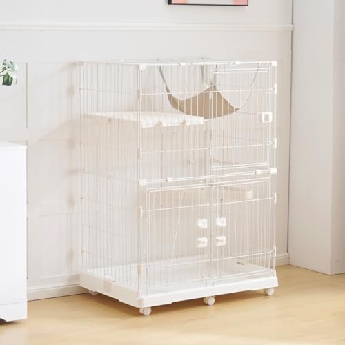 TopCloud L P[W 2i 1i2i\ J LX^[t LbgP[W ^  LbgnEX lR nEX i  ی Eh~  (zCg)