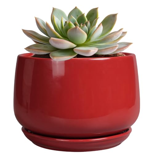 G EPGardening Ceramic Pot for Plants - 6 Inch Plant Pot with Drainage and Ceramic Tray, Modern Living Room Decor, Planter for Housewarming Gifts New Home, Red